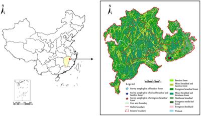 Trait divergence and opposite above- and below-ground strategies facilitate moso bamboo invasion into subtropical evergreen broadleaf forest